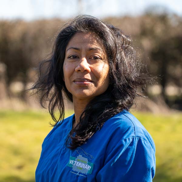 Piya Kakar - Mid sussex (Web)